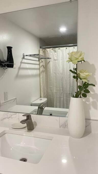 Unit #303 Mountain View 1Br In Canmore Downtown Exteriér fotografie